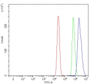 Flow cytometry testing of human MCF7 cells with GWL antibody at 1ug/million cells (blocked with goat sera); Red=cells alone, Green=isotype control, Blue= GWL antibody.