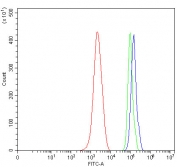 Flow cytometry testing of mouse ANA-1 cells with SNRNP200 antibody at 1ug/million cells (blocked with goat sera); Red=cells alone, Green=isotype control, Blue= SNRNP200 antibody.