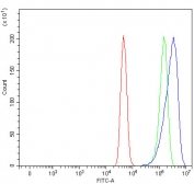 Flow cytometry testing of human U-251 cells with Bcl-2-related ovarian killer protein antibody at 1ug/million cells (blocked with goat sera); Red=cells alone, Green=isotype control, Blue= Bcl-2-related ovarian killer protein antibody.