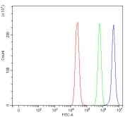 Flow cytometry testing of human MCF7 cells with RBFA antibody at 1ug/million cells (blocked with goat sera); Red=cells alone, Green=isotype control, Blue= RBFA antibody.