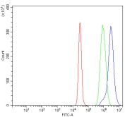 Flow cytometry testing of human K562 cells with KIF1A antibody at 1ug/million cells (blocked with goat sera); Red=cells alone, Green=isotype control, Blue= KIF1A antibody.