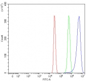Flow cytometry testing of human HepG2 cells with Pirh2 antibody at 1ug/million cells (blocked with goat sera); Red=cells alone, Green=isotype control, Blue= Pirh2 antibody.