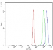 Flow cytometry testing of human U-251 cells with REL antibody at 1ug/million cells (blocked with goat sera); Red=cells alone, Green=isotype control, Blue= REL antibody.