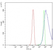 Flow cytometry testing of human HeLa cells with AP-B antibody at 1ug/million cells (blocked with goat sera); Red=cells alone, Green=isotype control, Blue= AP-B antibody.