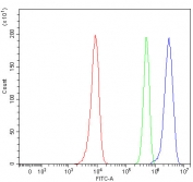 Flow cytometry testing of human HeLa cells with RBM14 antibody at 1ug/million cells (blocked with goat sera); Red=cells alone, Green=isotype control, Blue= RBM14 antibody.