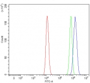 Flow cytometry testing of human HEL cells with RNF34 antibody at 1ug/million cells (blocked with goat sera); Red=cells alone, Green=isotype control, Blue= RNF34 antibody.