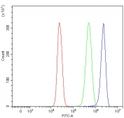 Flow cytometry testing of human HepG2 cells with RPS4X/Y1/Y2 antibody at 1ug/million cells (blocked with goat sera); Red=cells alone, Green=isotype control, Blue= RPS4X/Y1/Y2 antibody.