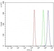 Flow cytometry testing of human HepG2 cells with RALGAPA2 antibody at 1ug/million cells (blocked with goat sera); Red=cells alone, Green=isotype control, Blue= RALGAPA2 antibody.