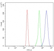 Flow cytometry testing of human HL60 cells with RPS25 antibody at 1ug/million cells (blocked with goat sera); Red=cells alone, Green=isotype control, Blue= RPS25 antibody.
