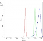 Flow cytometry testing of human U-2 OS cells with Tropomodulin 2 antibody at 1ug/million cells (blocked with goat sera); Red=cells alone, Green=isotype control, Blue= Tropomodulin 2 antibody.