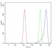 Flow cytometry testing of human HEL cells with RUFY4 antibody at 1ug/million cells (blocked with goat sera); Red=cells alone, Green=isotype control, Blue= RUFY4 antibody.