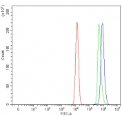 Flow cytometry testing of human Raji cells with OLA1 antibody at 1ug/million cells (blocked with goat sera); Red=cells alone, Green=isotype control, Blue= OLA1 antibody.
