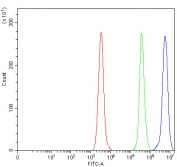 Flow cytometry testing of human Daudi cells with Dynamin-like 120 kDa protein antibody at 1ug/million cells (blocked with goat sera); Red=cells alone, Green=isotype control, Blue= Dynamin-like 120 kDa protein antibody.
