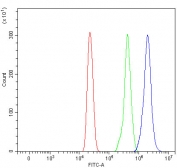 Flow cytometry testing of human HL60 cells with SSBP1 antibody at 1ug/million cells (blocked with goat sera); Red=cells alone, Green=isotype control, Blue= SSBP1 antibody.