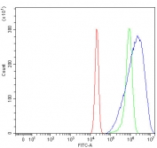 Flow cytometry testing of human U-2 OS cells with SSR2 antibody at 1ug/million cells (blocked with goat sera); Red=cells alone, Green=isotype control, Blue= SSR2 antibody.