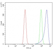 Flow cytometry testing of human HEL cells with PIK3R6 antibody at 1ug/million cells (blocked with goat sera); Red=cells alone, Green=isotype control, Blue= PIK3R6 antibody.