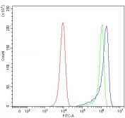Flow cytometry testing of human HeLa cells with PITPNB antibody at 1ug/million cells (blocked with goat sera); Red=cells alone, Green=isotype control, Blue= PITPNB antibody.