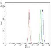Flow cytometry testing of human Daudi cells with ONECUT1 antibody at 1ug/million cells (blocked with goat sera); Red=cells alone, Green=isotype control, Blue= ONECUT1 antibody.