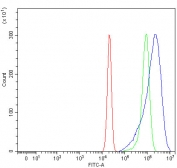 Flow cytometry testing of human U-2 OS cells with OSTF1 antibody at 1ug/million cells (blocked with goat sera); Red=cells alone, Green=isotype control, Blue= OSTF1 antibody.