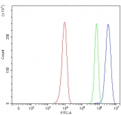 Flow cytometry testing of human HeLa cells with RPRD1B antibody at 1ug/million cells (blocked with goat sera); Red=cells alone, Green=isotype control, Blue= RPRD1B antibody.