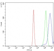 Flow cytometry testing of human K562 cells with COX6B1 antibody at 1ug/million cells (blocked with goat sera); Red=cells alone, Green=isotype control, Blue= COX6B1 antibody.