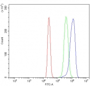 Flow cytometry testing of human HL-60 cells with DAP-1 antibody at 1ug/million cells (blocked with goat sera); Red=cells alone, Green=isotype control, Blue= DAP-1 antibody.