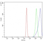 Flow cytometry testing of human K562 cells with EIF3C antibody at 1ug/million cells (blocked with goat sera); Red=cells alone, Green=isotype control, Blue= EIF3C antibody.