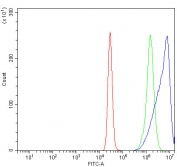 Flow cytometry testing of human K562 cells with KIF2A antibody at 1ug/million cells (blocked with goat sera); Red=cells alone, Green=isotype control, Blue= KIF2A antibody.
