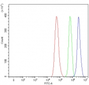 Flow cytometry testing of fixed and permeabilized human HeLa cells with PRPF6 antibody at 1ug/million cells (blocked with goat sera); Red=cells alone, Green=isotype control, Blue= PRPF6 antibody.