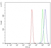 Flow cytometry testing of fixed and permeabilized human MCF7 cells with PSMD6 antibody at 1ug/million cells (blocked with goat sera); Red=cells alone, Green=isotype control, Blue= PSMD6 antibody.