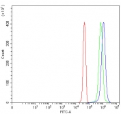Flow cytometry testing of fixed and permeabilized human JK cells with PSMD6 antibody at 1ug/million cells (blocked with goat sera); Red=cells alone, Green=isotype control, Blue= PSMD6 antibody.