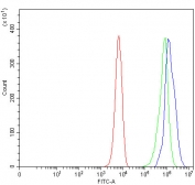 Flow cytometry testing of fixed and permeabilized human K562 cells with CEP164 antibody at 1ug/million cells (blocked with goat sera); Red=cells alone, Green=isotype control, Blue= CEP164 antibody.