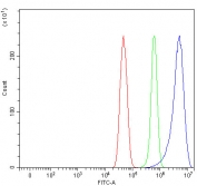 Flow cytometry testing of fixed and permeabilized human U-251 cells with PRRC2C antibody at 1ug/million cells (blocked with goat sera); Red=cells alone, Green=isotype control, Blue= PRRC2C antibody.