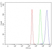 Flow cytometry testing of fixed and permeabilized human 293T cells with NCAPH antibody at 1ug/million cells (blocked with goat sera); Red=cells alone, Green=isotype control, Blue= NCAPH antibody.