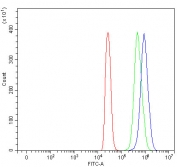 Flow cytometry testing of fixed and permeabilized human 293T cells with PPWD1 antibody at 1ug/million cells (blocked with goat sera); Red=cells alone, Green=isotype control, Blue= PPWD1 antibody.