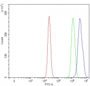 Flow cytometry testing of fixed and permeabilized human RT4 cells with TTC9 antibody at 1ug/million cells (blocked with goat sera); Red=cells alone, Green=isotype control, Blue= TTC9 antibody.