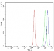 Flow cytometry testing of fixed and permeabilized human MCF7 cells with NDOR1 antibody at 1ug/million cells (blocked with goat sera); Red=cells alone, Green=isotype control, Blue= NDOR1 antibody.