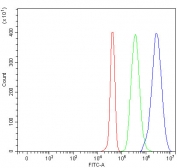 Flow cytometry testing of fixed and permeabilized human JK cells with Semaphorin 4A antibody at 1ug/million cells (blocked with goat sera); Red=cells alone, Green=isotype control, Blue= Semaphorin 4A antibody.
