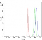 Flow cytometry testing of fixed and permeabilized human SH-SY5Y cells with TTC29 antibody at 1ug/million cells (blocked with goat sera); Red=cells alone, Green=isotype control, Blue= TTC29 antibody.