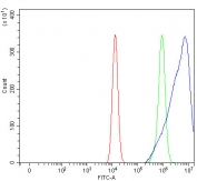 Flow cytometry testing of fixed and permeabilized human HEL cells with PSD2 antibody at 1ug/million cells (blocked with goat sera); Red=cells alone, Green=isotype control, Blue= PSD2 antibody.
