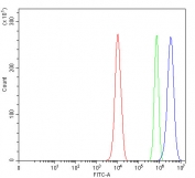 Flow cytometry testing of fixed and permeabilized human PC-3 cells with SOX10 antibody at 1ug/million cells (blocked with goat sera); Red=cells alone, Green=isotype control, Blue= SOX10 antibody.