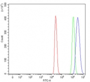 Flow cytometry testing of fixed and permeabilized human 293T cells with NUDC antibody at 1ug/million cells (blocked with goat sera); Red=cells alone, Green=isotype control, Blue= NUDC antibody.