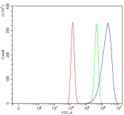 Flow cytometry testing of fixed and permeabilized human HEL cells with MART-1 antibody at 1ug/million cells (blocked with goat sera); Red=cells alone, Green=isotype control, Blue= MART-1 antibody.