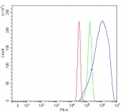Flow cytometry testing of fixed and permeabilized human SiHa cells with MAPRE1 antibody at 1ug/million cells (blocked with goat sera); Red=cells alone, Green=isotype control, Blue= MAPRE1 antibody.