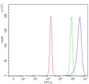 Flow cytometry testing of fixed and permeabilized human HeLa cells with MYO6 antibody at 1ug/million cells (blocked with goat sera); Red=cells alone, Green=isotype control, Blue= MYO6 antibody.