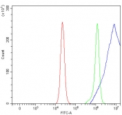 Flow cytometry testing of fixed and permeabilized human RT4 cells with Proline dehydrogenase 1 antibody at 1ug/million cells (blocked with goat sera); Red=cells alone, Green=isotype control, Blue= Proline dehydrogenase 1 antibody.