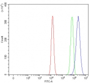 Flow cytometry testing of fixed and permeabilized human HEL cells with Nucleoporin 107 antibody at 1ug/million cells (blocked with goat sera); Red=cells alone, Green=isotype control, Blue= Nucleoporin 107 antibody.