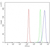 Flow cytometry testing of fixed and permeabilized human HeLa cells with NUCKS1 antibody at 1ug/million cells (blocked with goat sera); Red=cells alone, Green=isotype control, Blue= NUCKS1 antibody.