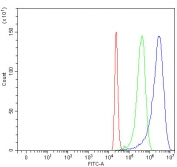 Flow cytometry testing of fixed and permeabilized human 293T cells with Alpha SNAP antibody at 1ug/million cells (blocked with goat sera); Red=cells alone, Green=isotype control, Blue= Alpha SNAP antibody.