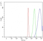 Flow cytometry testing of fixed and permeabilized human 293T cells with MMP19 antibody at 1ug/million cells (blocked with goat sera); Red=cells alone, Green=isotype control, Blue= MMP19 antibody.